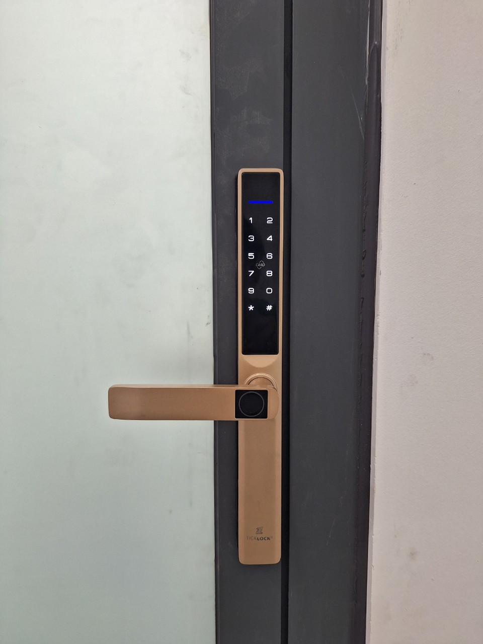 Hình ảnh thực tế khóa cửa vân tay ticklock AD106