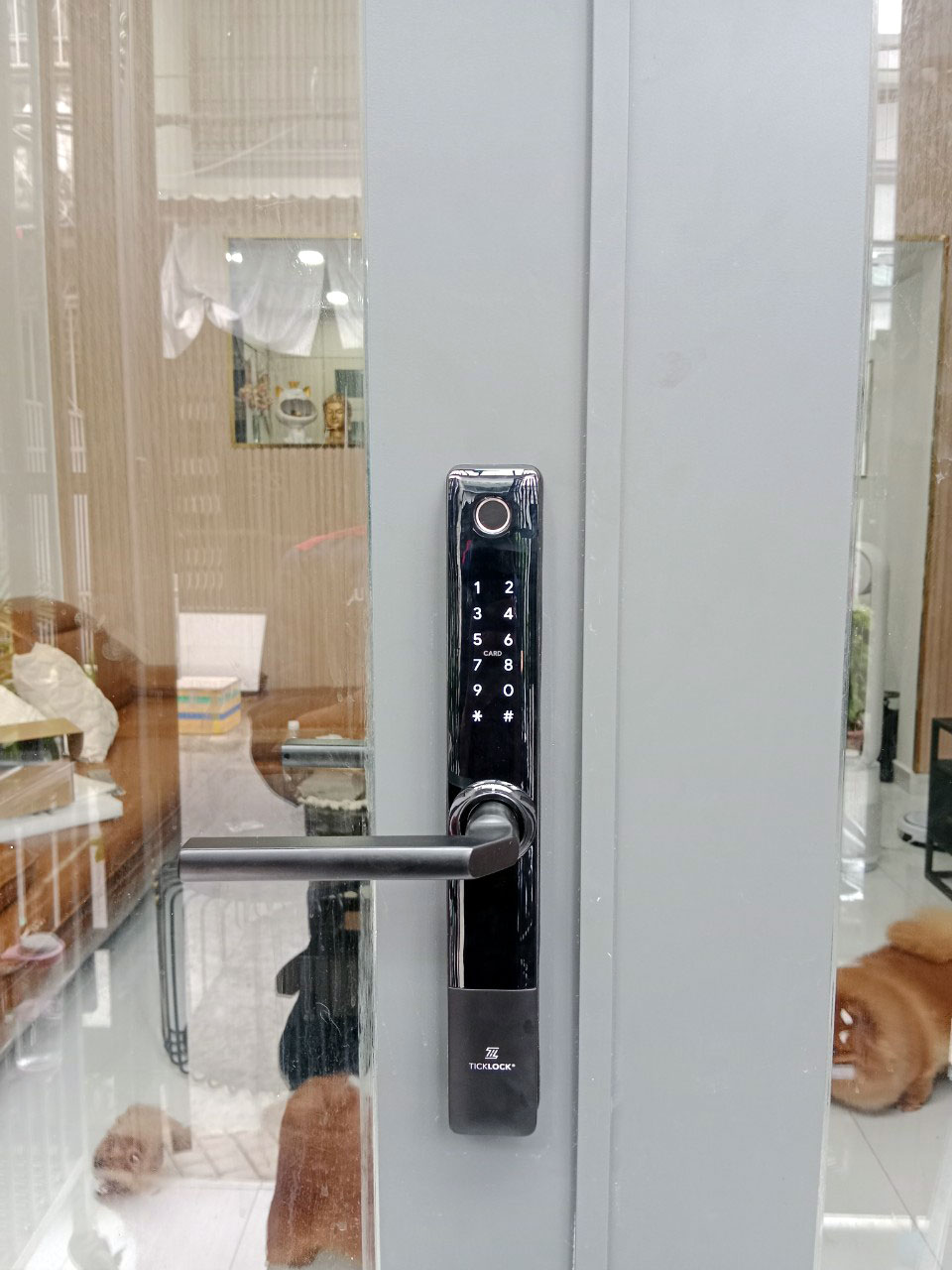 Hình ảnh thực tế khóa vân tay ticklock i720 trên cửa