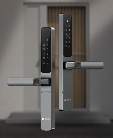 Khóa cửa vân tay 2 chiều DL06 pro