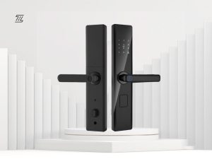 Người Thuê Nhà Tự Lắp Khóa: Lắp Sao Để Tháo Mang Đi Được?